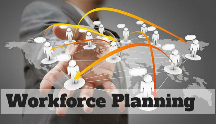 Contribute to Strategic Workforce Planning