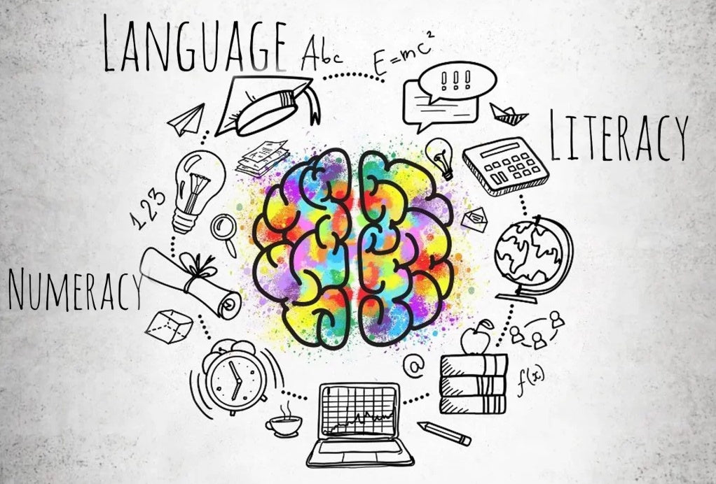 Design & Conduct Vocational Pre-Training LLN Assessments