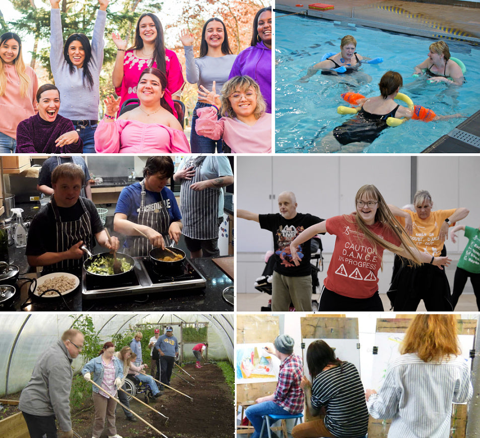 Develop & Deliver High-Quality NDIS Day Programs