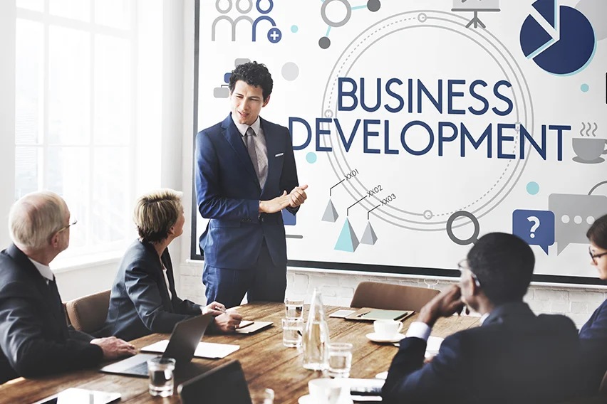 Dynamic Business Development Strategies