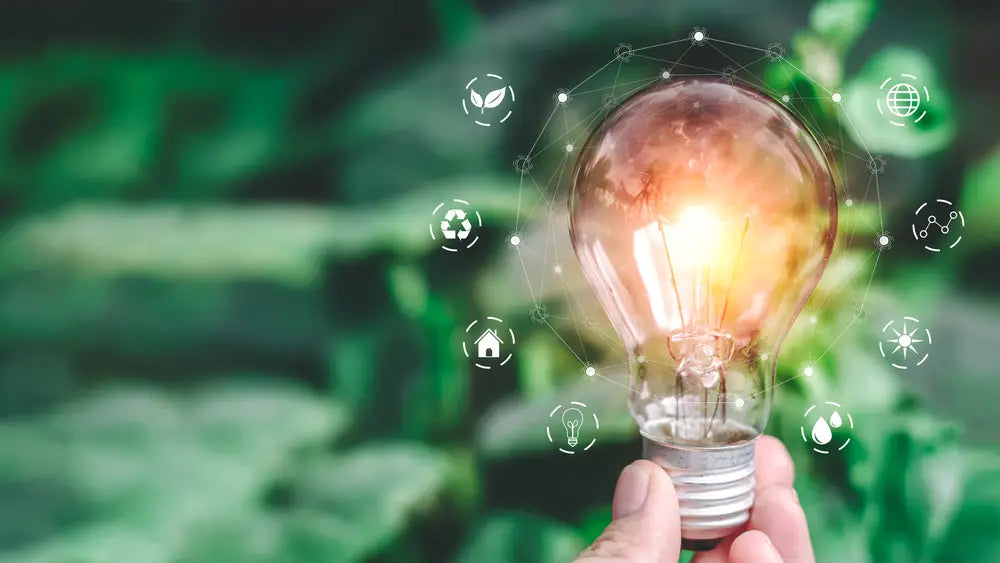 Environmentally Sustainable Practices in Electrotechnology