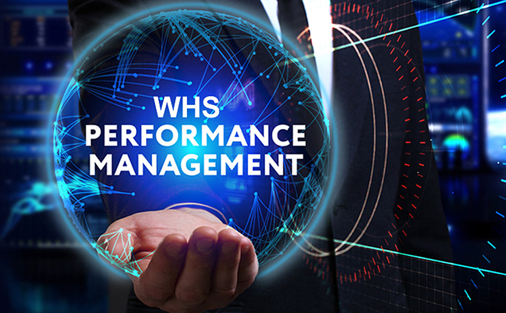 Evaluate the WHS Performance of an Organisation