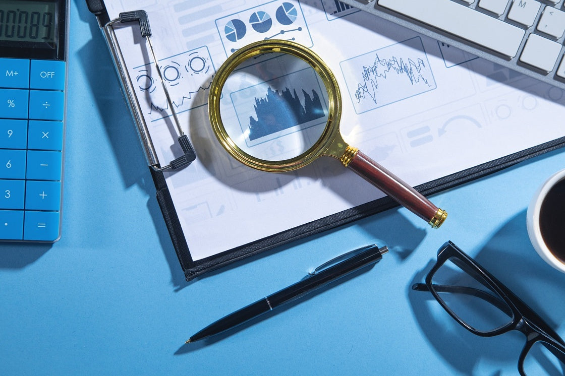 Plan & Conduct Internal Performance Audits