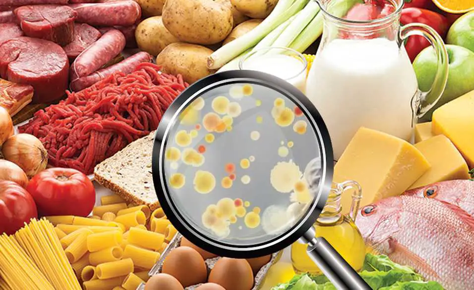 Principles of Food Safety & Microbiology