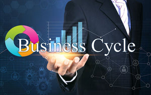 The Business Cycle