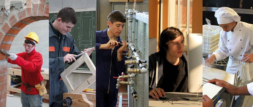 The Dual Education System in Vocational Education