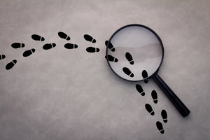 Conduct a Workplace Investigation