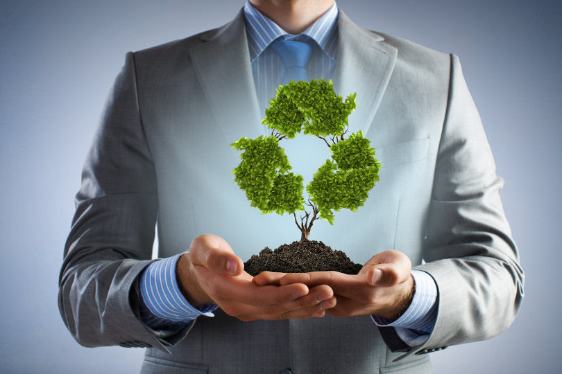 Develop a Green Business Strategy