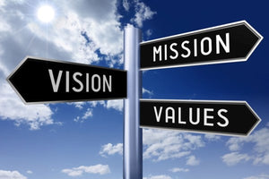 Develop Organisational Vision, Mission & Values