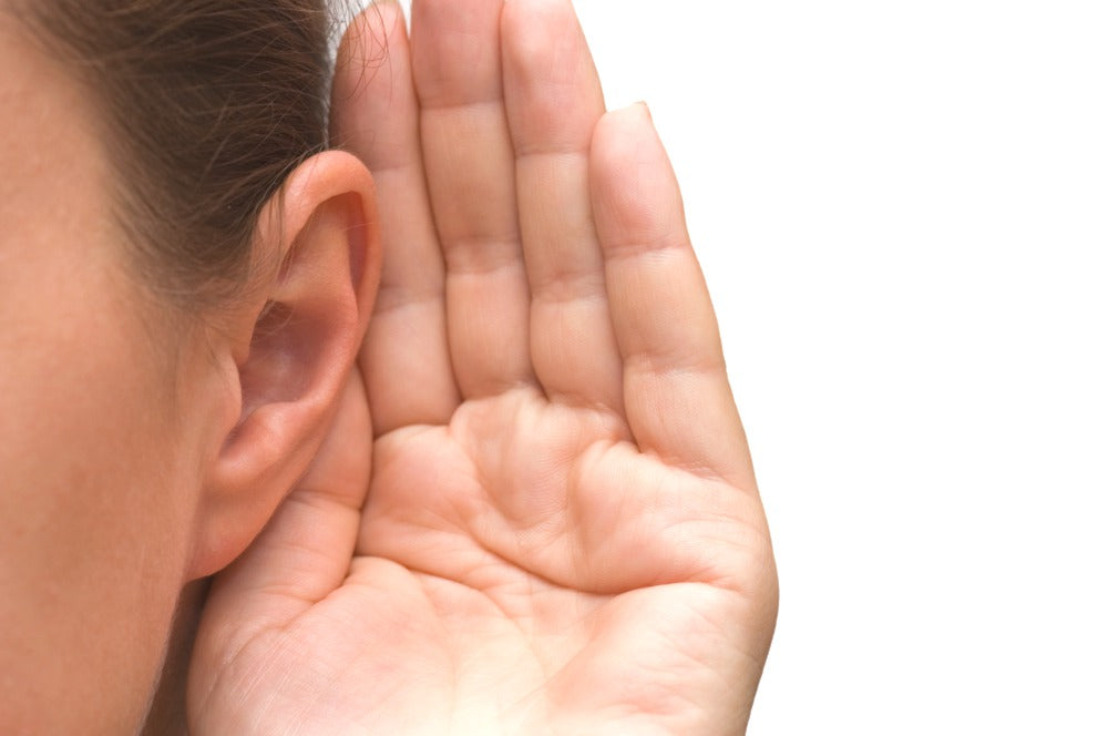 Interacting with People with Hearing Disorders